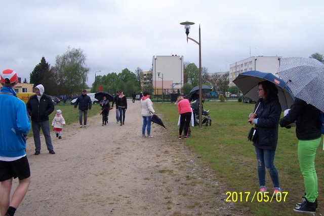 wstane 71
